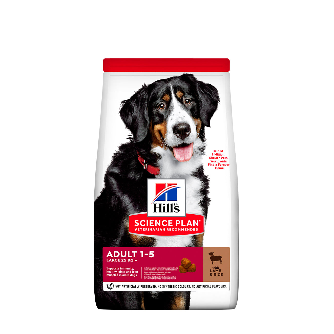 Hill's SCIENCE PLAN – ausgewachsenes Lamm und Reis großer Rassen