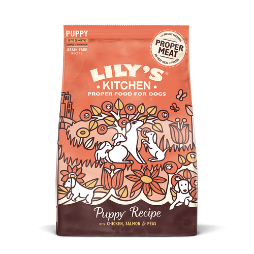 Lily's Kitchen - Puppy Recipe Dry - Chicken/Salmon