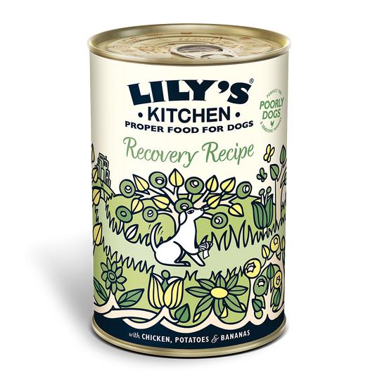 Lily's Kitchen - Adult Recovery Recipe
