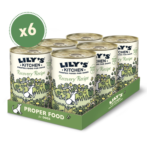Lily's Kitchen - Adult Recovery Recipe