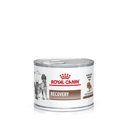 Royal Canin - Recovery Dog / Cat